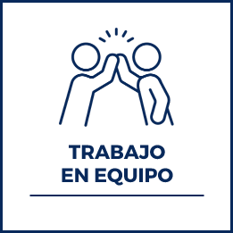 TRABAJO EN EQUIPO