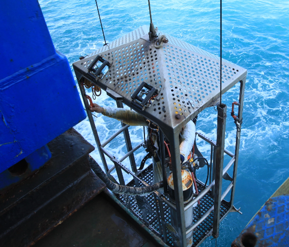 Servicio Integral de Buceo Imagen por grupo 01